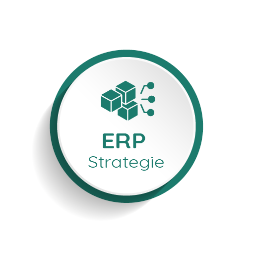 ERP-Strategie